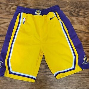 Youth Los Angeles Lakers Nike Gold Icon Edition Mesh Performance Swingman Shorts
